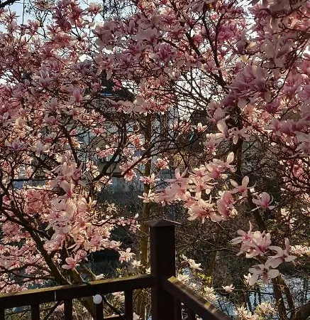 50m2 Au Bord De L'eau à Couette-café 4*