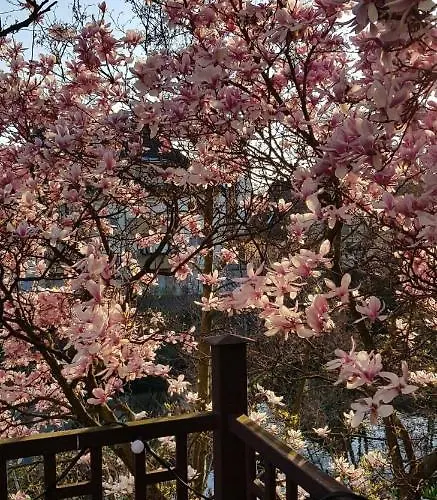 50m2 Au Bord De L'eau A Bed & Breakfast 4*