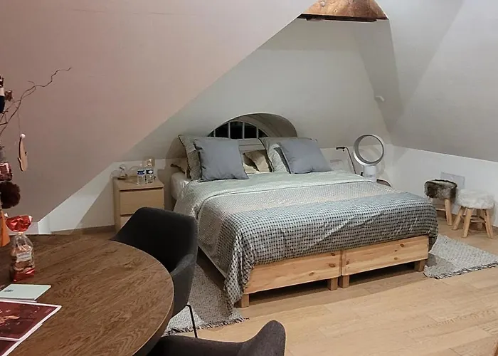 50m2 Au Bord De L'eau A 4* Štrasburk