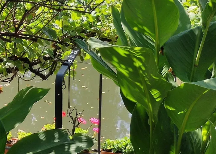 50m2 Au Bord De L'eau à 4* Strasbourg