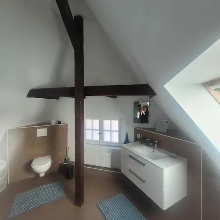 50m2 Au Bord De L'eau A Homestay Strasbourg