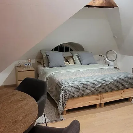 50m2 Au Bord De L'eau A 4* Strasbourg