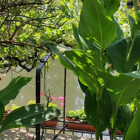 50m2 Au Bord De L'eau A 4* Strasbourg