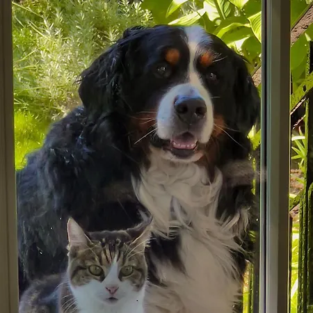 50m2 Au Bord De L'eau A Bed & Breakfast Strasbourg