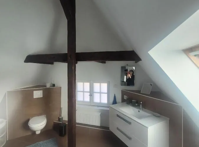 50m2 Au Bord De L'eau A Bed & Breakfast Strasbourg