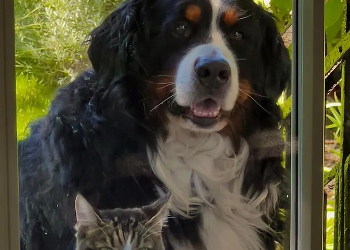 50m2 Au Bord De L'eau A Bed & Breakfast Strasbourg